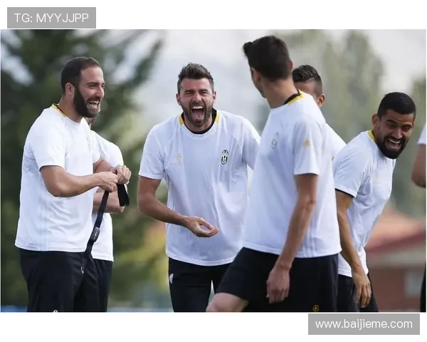 半岛官方体育登录入口全面指南助你轻松进入体育赛事直播平台