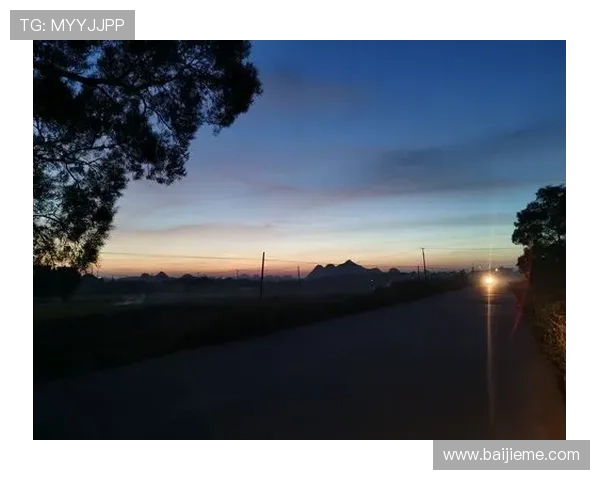 天空app网址导航大全，提供多种访问途径满足不同用户的使用需求