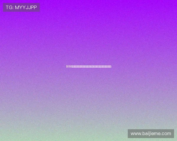 BIM体育场下载最新版本，全面提升您的观赛体验与场馆管理效率